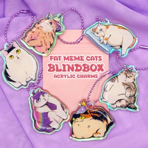 Fat Meme Cats Blindbox, Surprise bag | Acrylic Charm Keychain | Rainbow Charm with Glitter