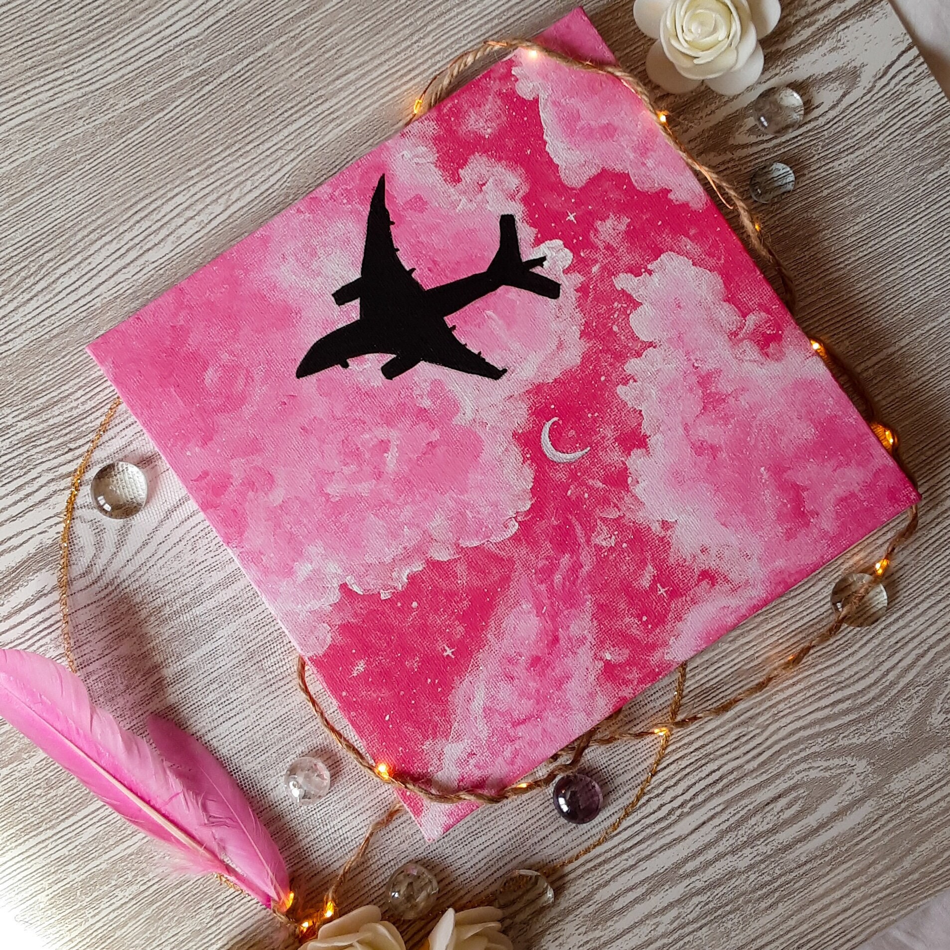 Peinture sur Toile Rose Avion