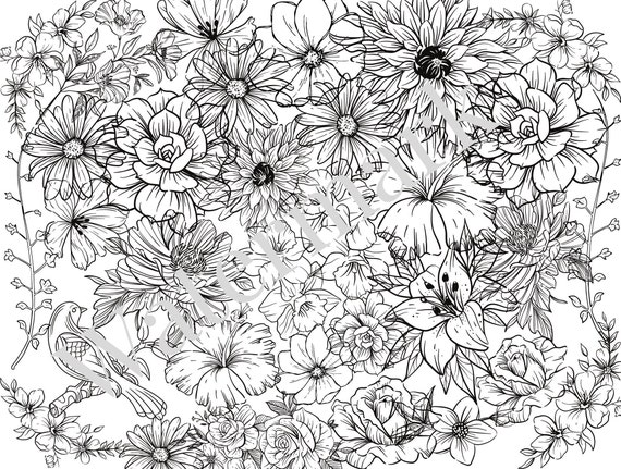 Printable Flower Coloring Pages For Adults