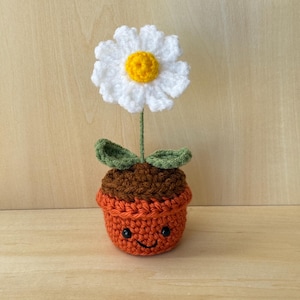 Crochet Daisy, Crochet flower , amigurumi plant, house warming , house decor .