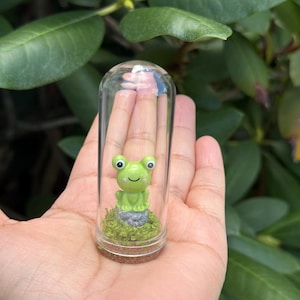 May include: A miniature terrarium featuring a smiling green frog figurine atop a gray stone, surrounded by green moss, encased in a clear glass vial. The vial is held in a person's hand against a backdrop of green leaves.
