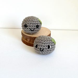 Crochet Pet Rock, Handmade Pocket Pebble , Rock with Moss, knitted stone .
