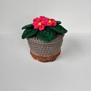 African violet flower, crochet African violet plant