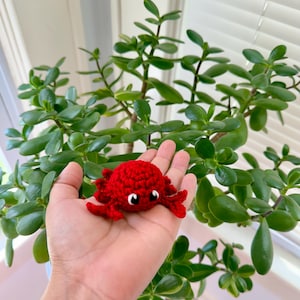 May include: A small, handmade red crochet crab with black and white eyes. The crab is held in a hand, with a lush green plant in the background. The crab has eight legs and a round body, and is a cute, whimsical item.