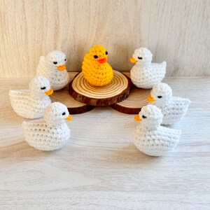 May include: A yellow crocheted duck surrounded by six white crocheted ducks on a wooden surface.
