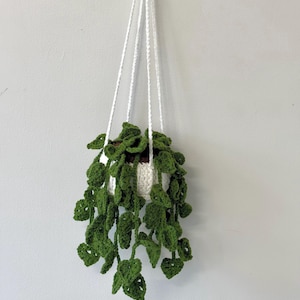 Crochet Monstera  Plant,Hanging plant ,crochet plant .