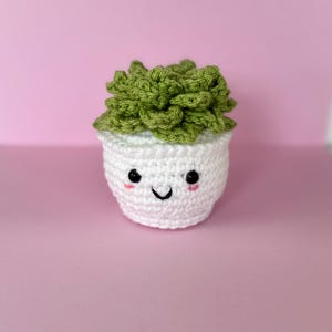 Crochet Succulent, crochet cactus , succulent in pot , crochet Plant .