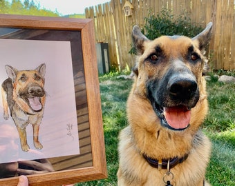 May include: A framed watercolor painting of a German Shepherd dog, with the dog's name "Jack" written in cursive in the bottom right corner. The real dog is sitting in the grass, looking at the painting.