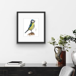 Puede incluir: Una pintura de acuarela enmarcada de un herrerillo común. El ave, con plumaje azul, amarillo y negro, está posada sobre una pequeña roca. La obra de arte está en un marco negro, exhibida en un mueble de madera oscura. El fondo es blanco.