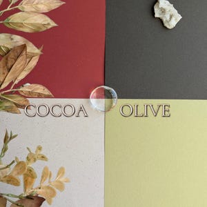 May include: A four-quadrant colour palette display featuring cherry red, coffee dark grey, cocoa beige with speckles, and olive green. The text CHERRY, COFFEE, COCOA, and OLIVE labels each section. A clear glass bead sits in the centre, with dried leaves on the left and a small white stone on the top right.