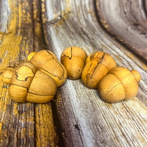 Tiny acorns/Spalted maple acorns/fall acorn decor
