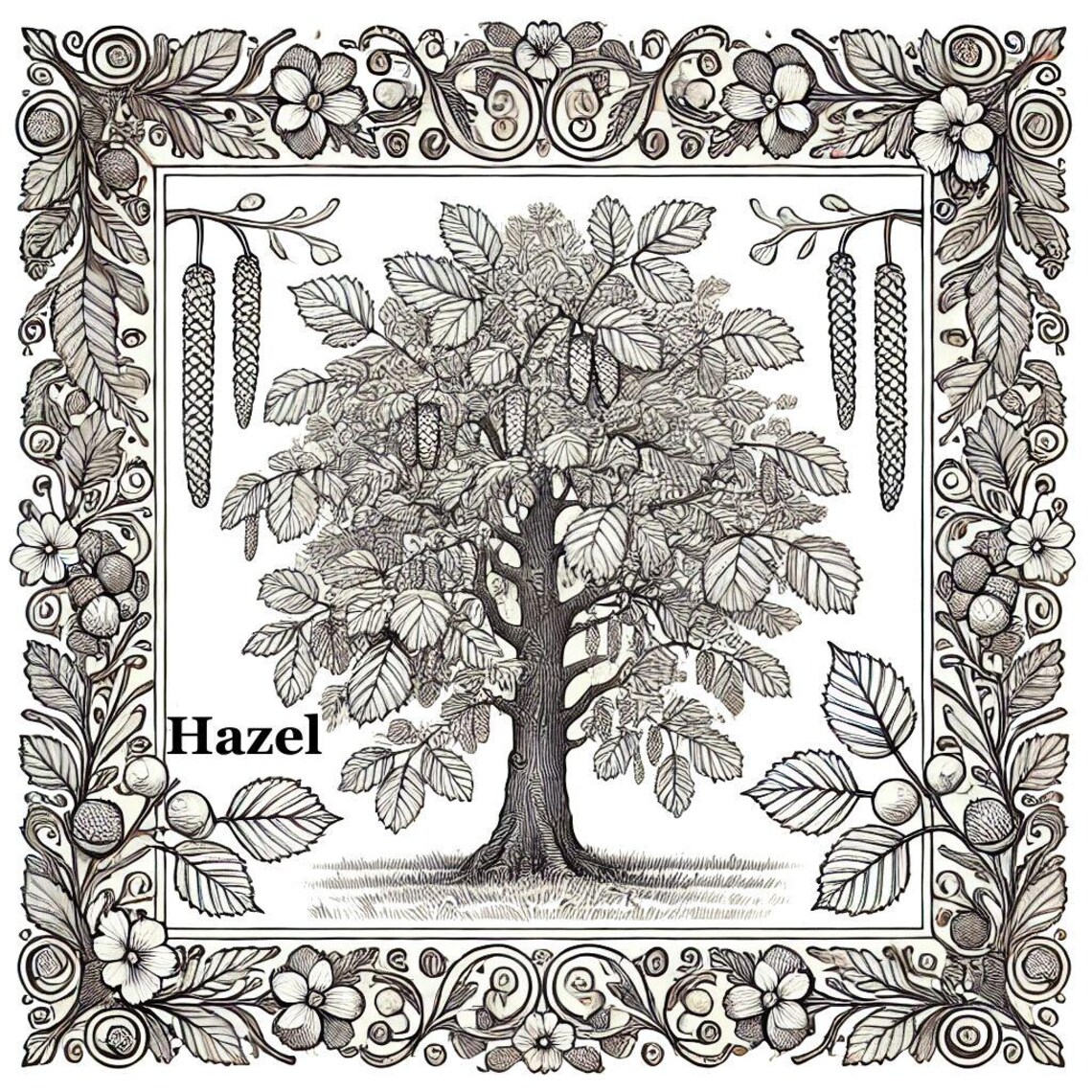 Celtic Birth Trees Coloring Book-adult/kids Coloring-stress Relief ...