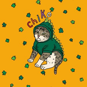 Puede incluir: Ilustración de un gato con un disfraz de dinosaurio verde, con el nombre "Chiko" encima. El fondo es naranja con diseños de tréboles verdes. El gato es el foco principal.