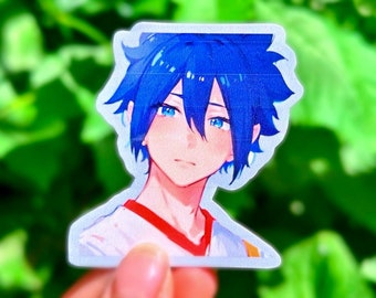Shy•Hero•Boy Anime Stickers | Anime Stickers | Anime Inspired Stickers | Water Bottle Stickers | Laptop Decal | Holographic Stickers