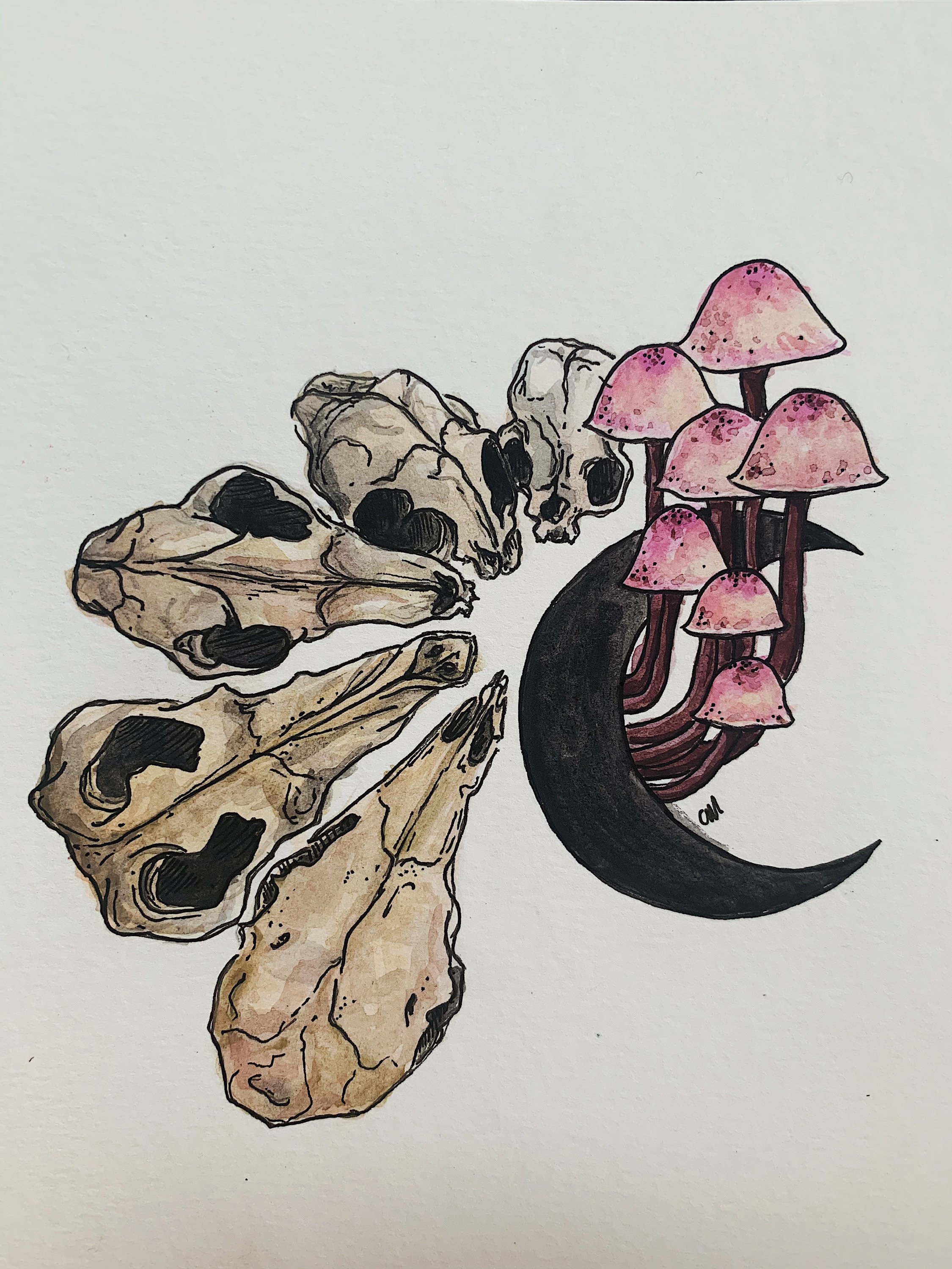 Skull Mushroom Print Etsy