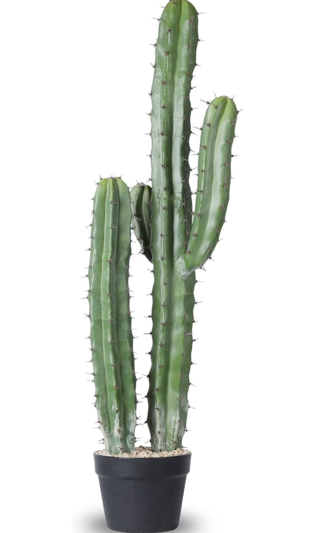 Artificial Cactus Fake Big Cactus Ranging Sizes Faux Cacti Etsy