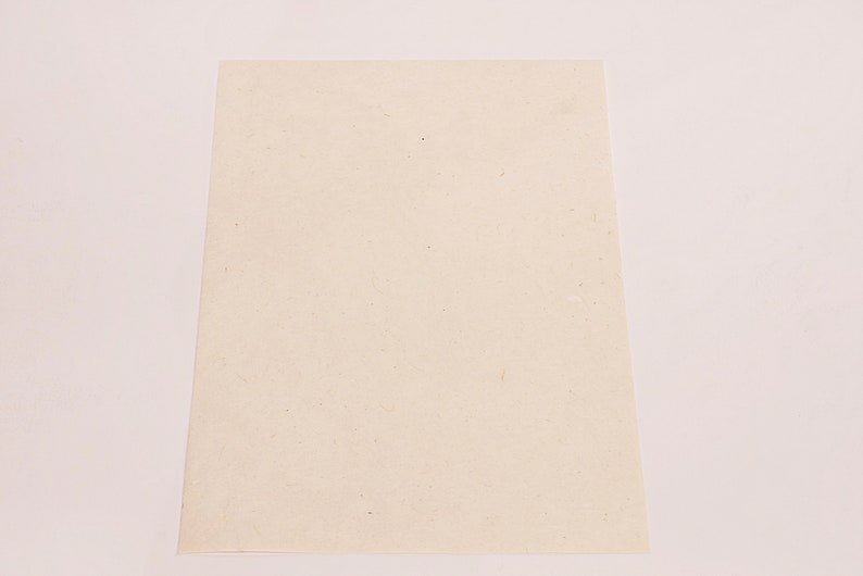 K&ouml;nnte beinhalten: Ein rechteckiges Blatt hellbeige Papier, leicht strukturiert, vor einem wei&szlig;en Hintergrund. Das Papier hat ein subtiles, nat&uuml;rliches Aussehen, mit kleinen Flecken. Die Kanten sind sauber und gut definiert.