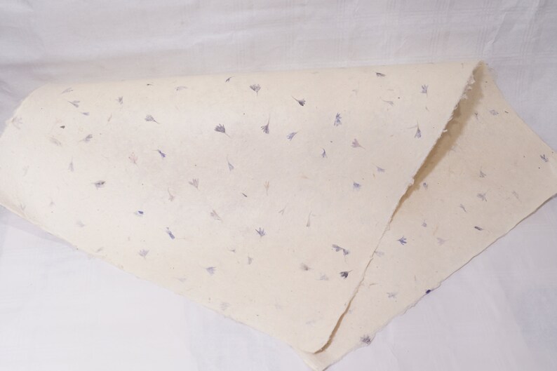 May include: A sheet of handmade paper with embedded purple flower petals. The paper is folded in half and has a rough, textured surface.