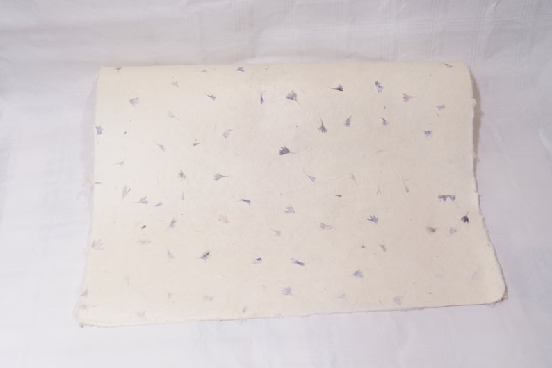 May include: A sheet of white paper with small, scattered purple flower petals embedded in the paper.