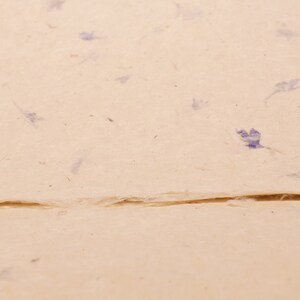 May include: A close-up of a sheet of handmade paper with embedded blue flower petals. The paper has a textured surface and a subtle cream color.