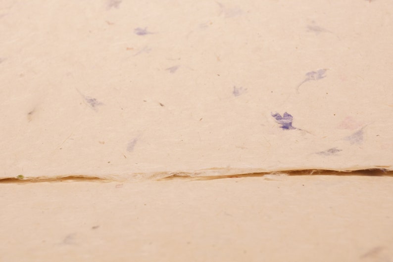 May include: A close-up of a sheet of handmade paper with embedded blue flower petals. The paper has a textured surface and a subtle cream color.