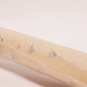 May include: A rolled up sheet of beige paper with flecks of blue and pink throughout.