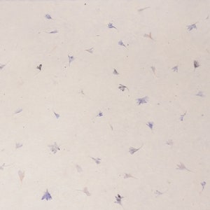 May include: A sheet of white paper with small, light purple flower petals scattered across the surface.