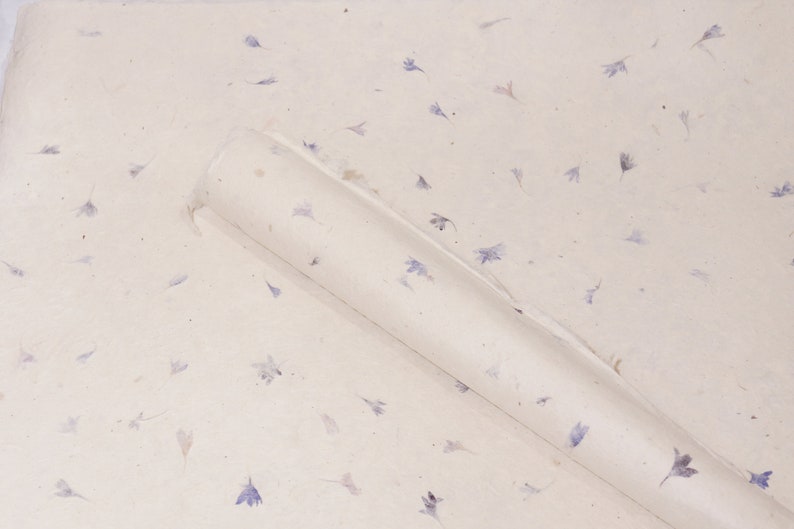 May include: A roll of white wrapping paper with a scattered pattern of small, light blue flower petals.