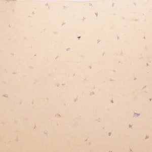 May include: A close-up of a sheet of handmade paper with a light beige background and scattered small, light purple flower petals.