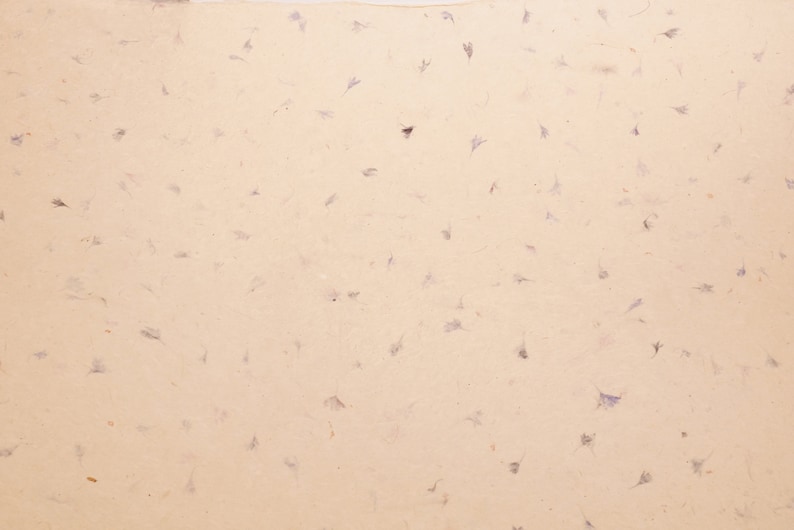May include: A close-up of a sheet of handmade paper with a light beige background and scattered small, light purple flower petals.
