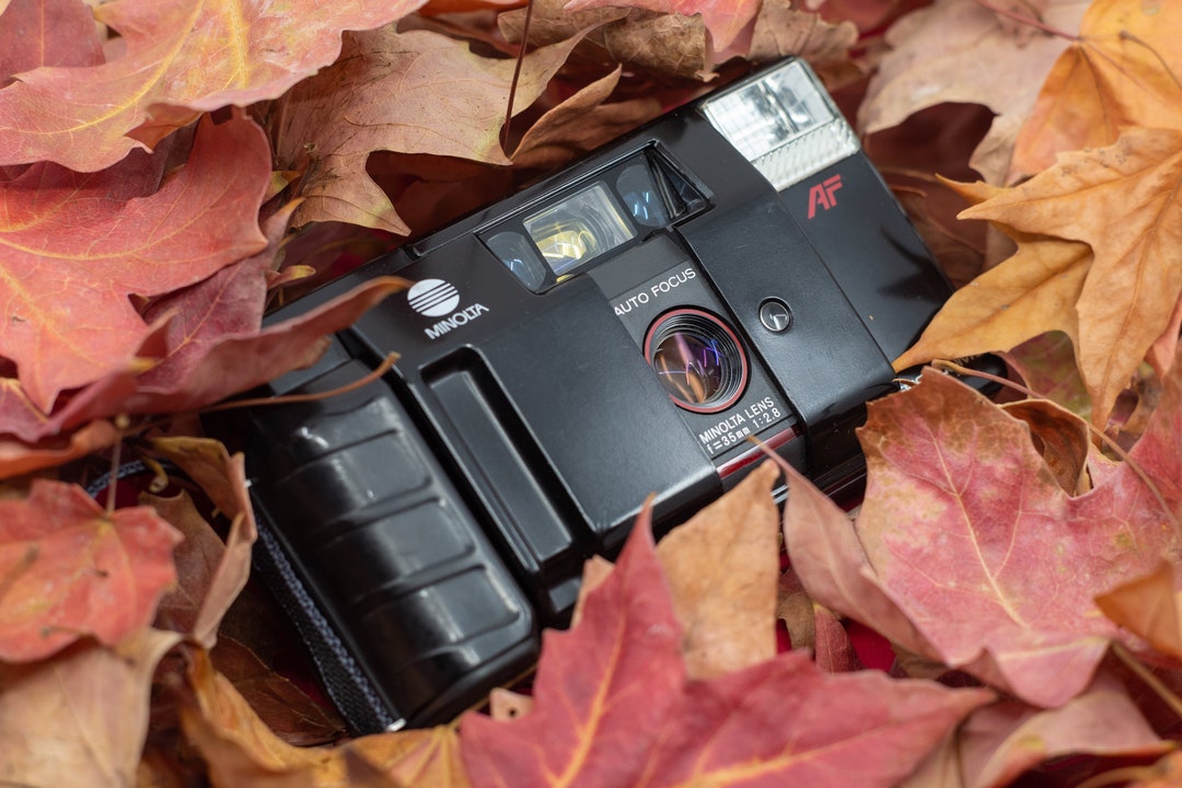 Minolta Freedom III 35mm Film Point and Shoot Camera Etsy