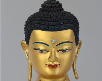 Stunning Handcrafted Shakyamuni Buddha Statue I Founder of