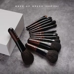 Makeup Brushes