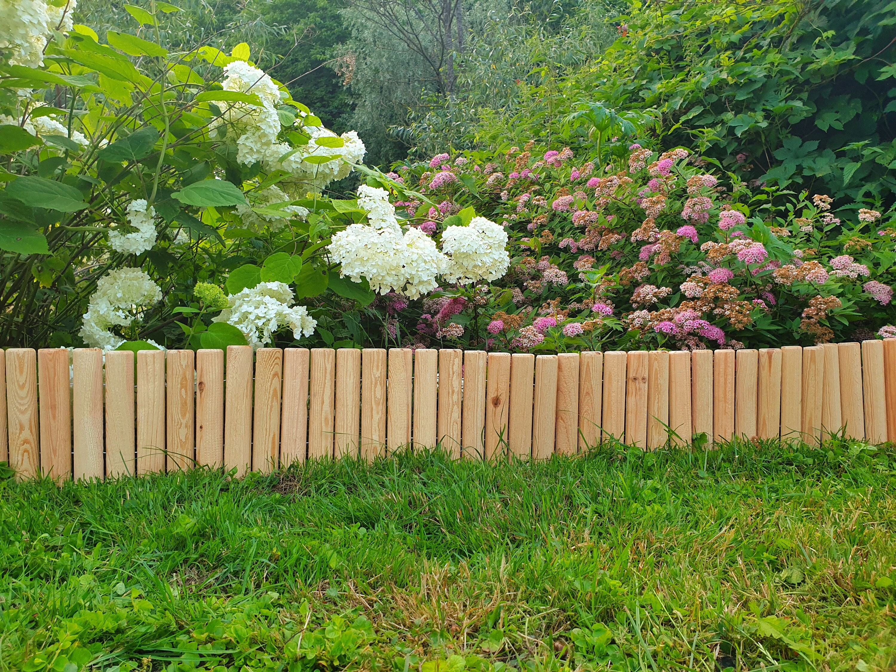 Recinzione decorativa da giardino, Barriera portatile per animali Border  Garden Fencing, Pannelli di recinzione esterna pieghevoli di buona  tenacità per cortile da giardino con patio esterno