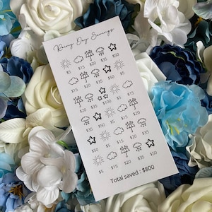 Rainy Day Savings Challenge: Color-In Tracker, Laminated Insert