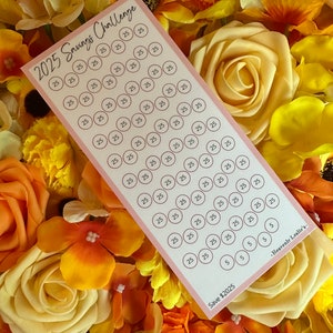 2025 Savings Challenge - A6 insert laminated or cardstock finish, with or without zipper envelope