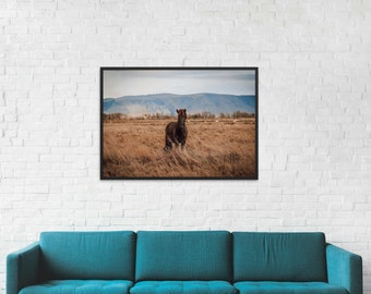 Impresión de arte fotográfico de caballos, decoración de pared ecuestre, impresionante fotografía equina, arte rústico de caballos de granja, retrato de animales, impresión sin marco