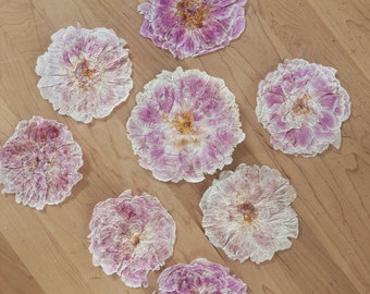 Pressed Pink Peony Flower - Use for Crafts, Art, Design, Resin