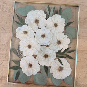 May include: A rectangular wall art piece featuring pressed white flowers with brown centers arranged with green eucalyptus and olive leaves inside a thin gold metal frame with clear glass panels on the front and back for a floating display.