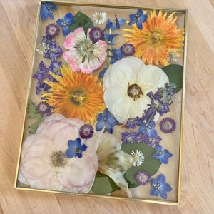 May include: A rectangular glass frame with a thin gold metal border containing an arrangement of pressed dried flowers. The composition features large white and pale pink blossoms, vibrant orange daisy-like flowers, and small blue delphiniums.