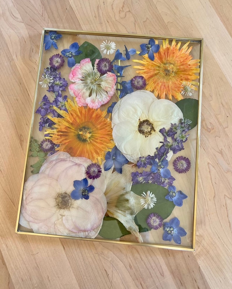 May include: A rectangular glass frame with a thin gold metal border containing an arrangement of pressed dried flowers. The composition features large white and pale pink blossoms, vibrant orange daisy-like flowers, and small blue delphiniums.