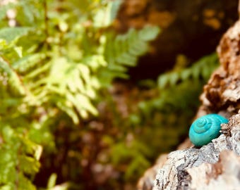 Painted Snail Shells | Fairy Garden | Potter Plant Decor | Garden Decor |