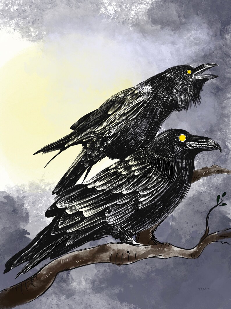 May include: Digital illustration of two black ravens perched on a branch, set against a cloudy, atmospheric background. The ravens have yellow eyes and are detailed with white and black shading. The artwork has a dark, gothic aesthetic.