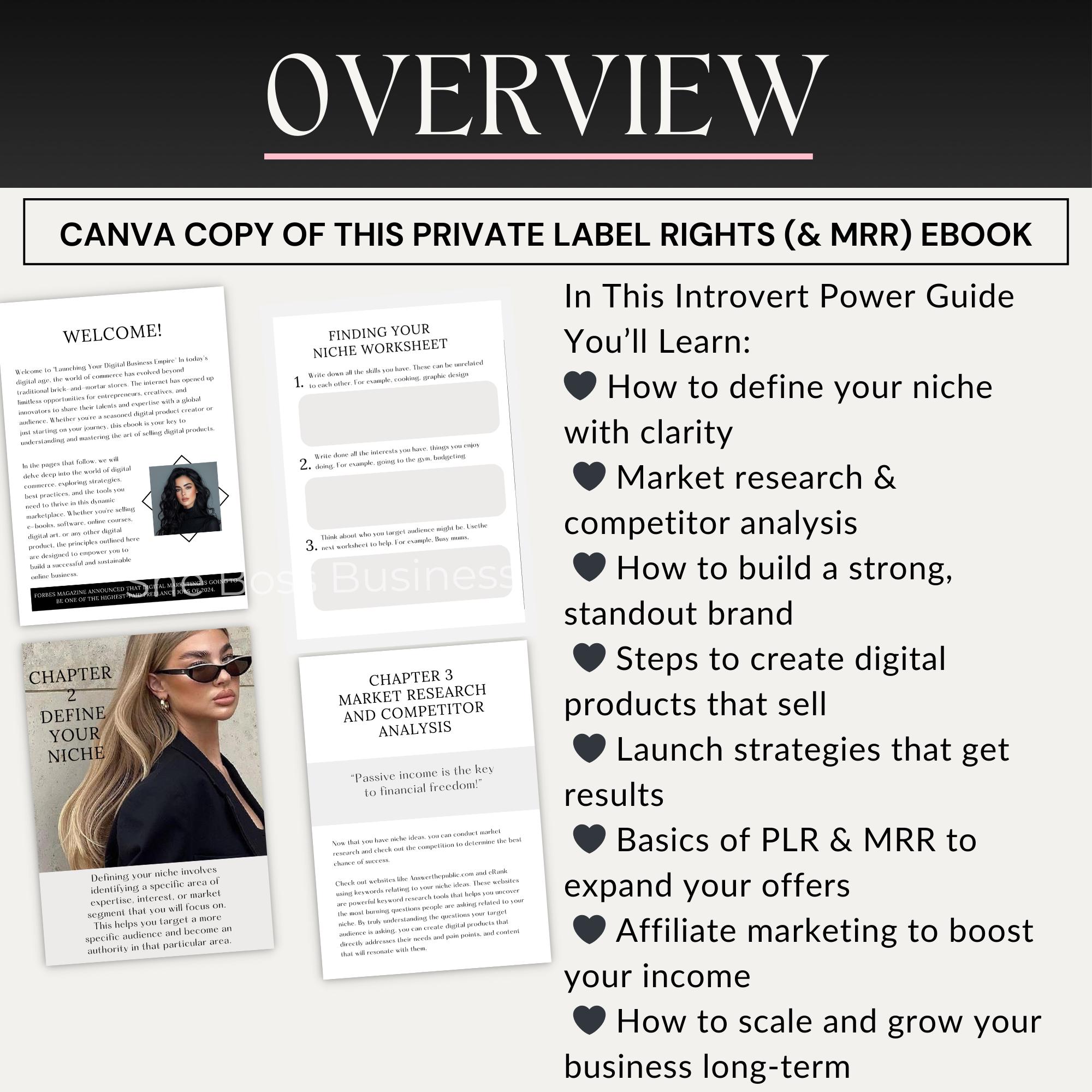 Digital Business Empire Ebook: PLR & MRR Online Business Guide (canva ...