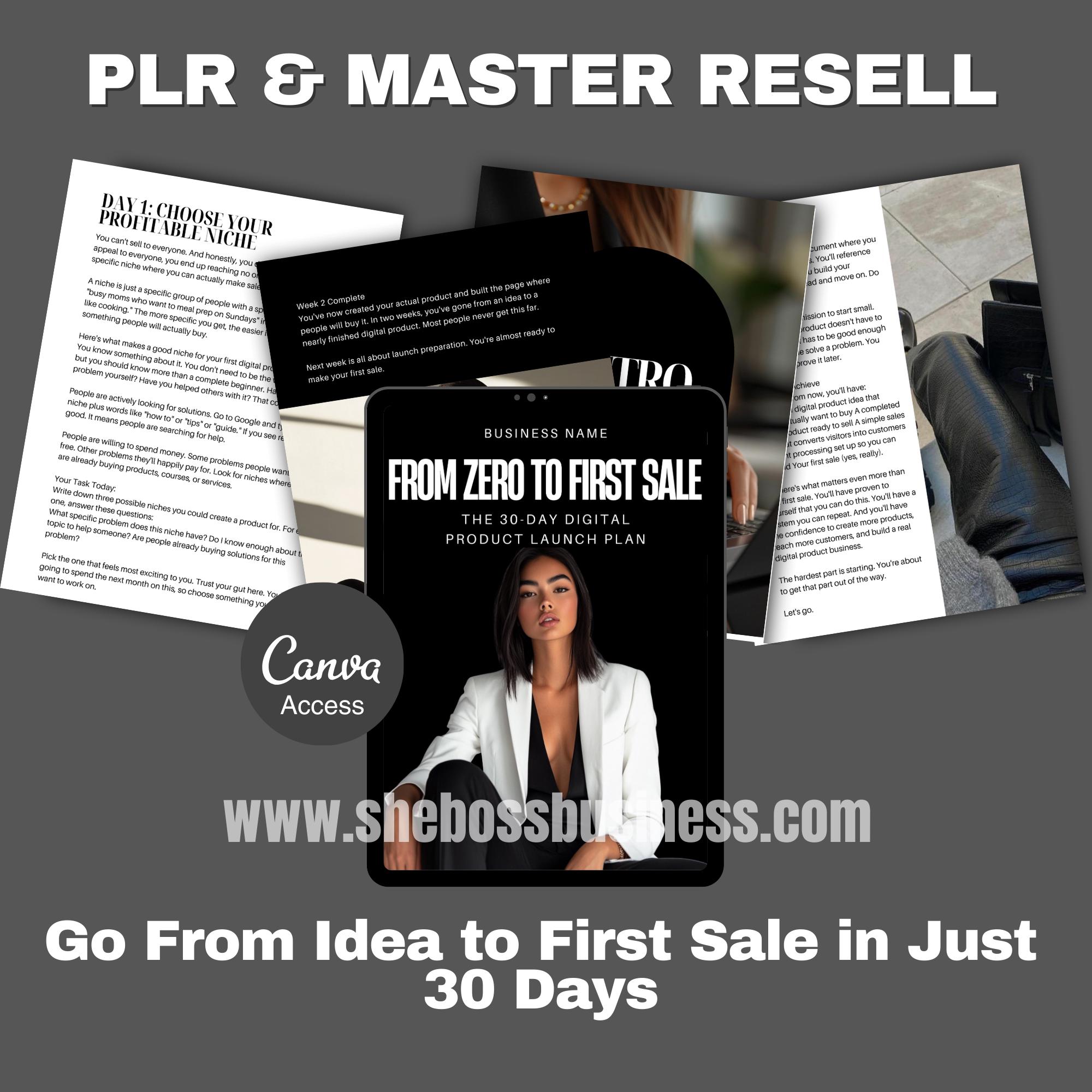 Business Growth Guide Digital Product Launch Plan Canva Ebook PLR MRR ...
