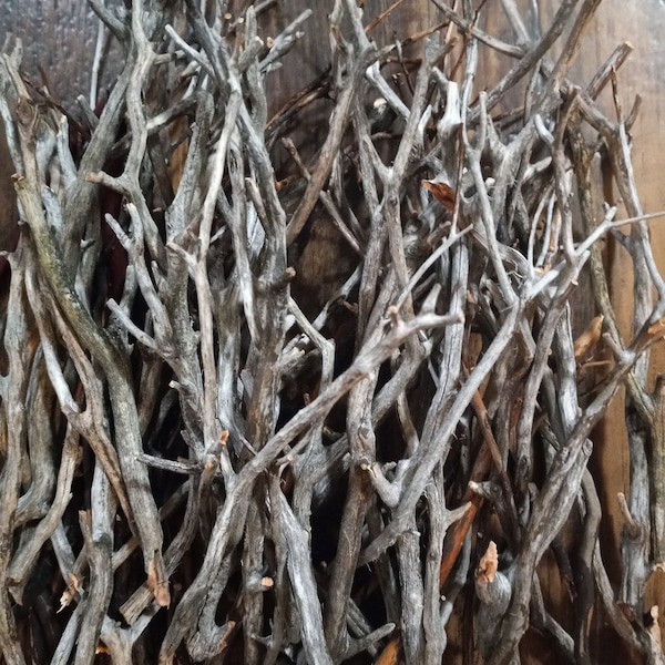 25 pcs Manzanita Branches 6-12 inch: Terrarium Aquarium vivarium tank Isopod Crafts gecko