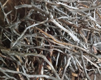 100+ manzanita thin twigs for vivarium tank aquarium terrarium celebrations crafts