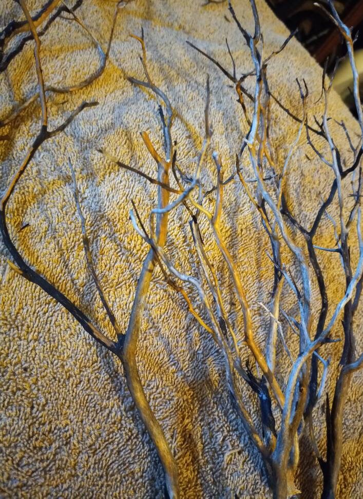 10 inch manzanita branch root for aquarium terrarium reptile tank cage