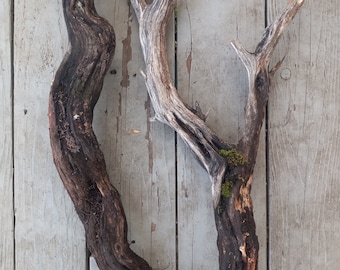 2 26-28 inch Ugly cheap wood pieces of weathered old growth manzanita driftwood branches vivarium aquarium terrarium garden crafts gecko