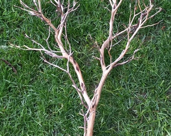 12 ramas de manzanita de 45-55 cm, color gris, rojo y marrón, ideales para manualidades, decoración, acuarios y paisajismo acuático.